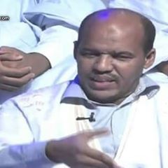 محمد الأمين الفاظل