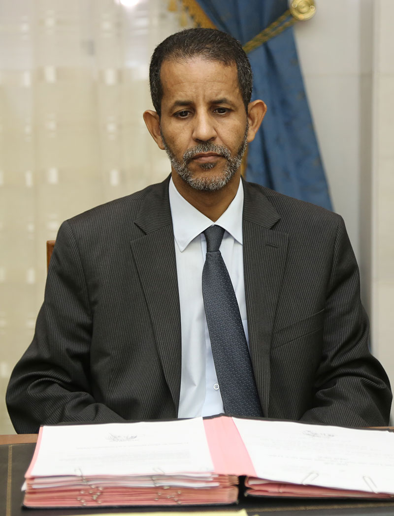 اسماعيل ولد الشيخ سيديا