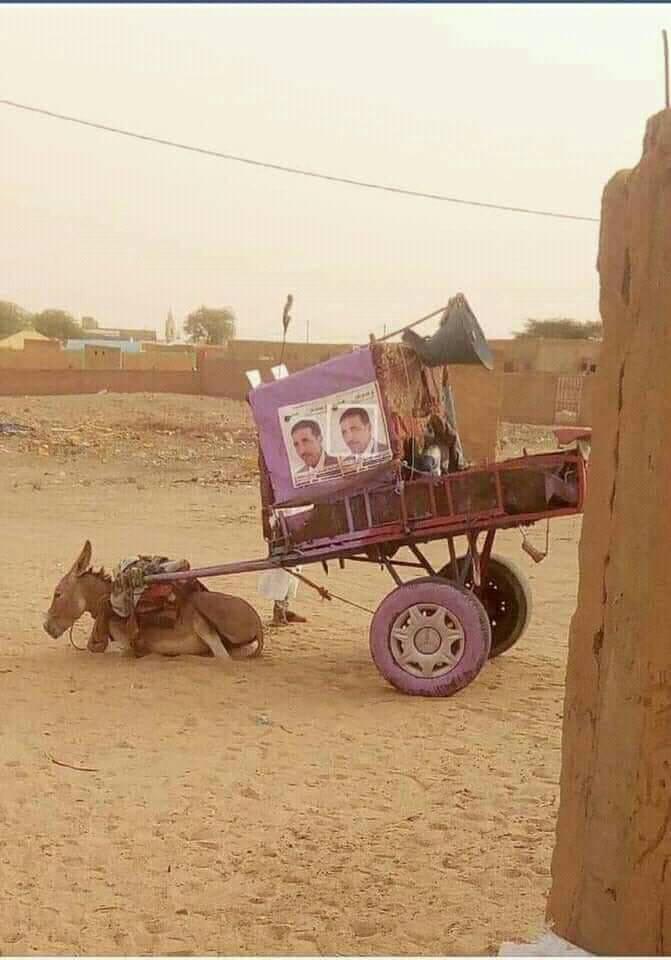 العربة المذكورة