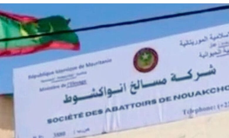 ضبط لحوم مسروقة باختام بيطرية مزورة في توجنين
