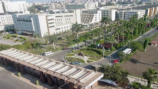 موريتانيا ترحب بفرع جامعة المنصورة في نواكشوط