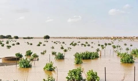 مقاييس الأمطار خلال الـ24 ساعة الأخيرة