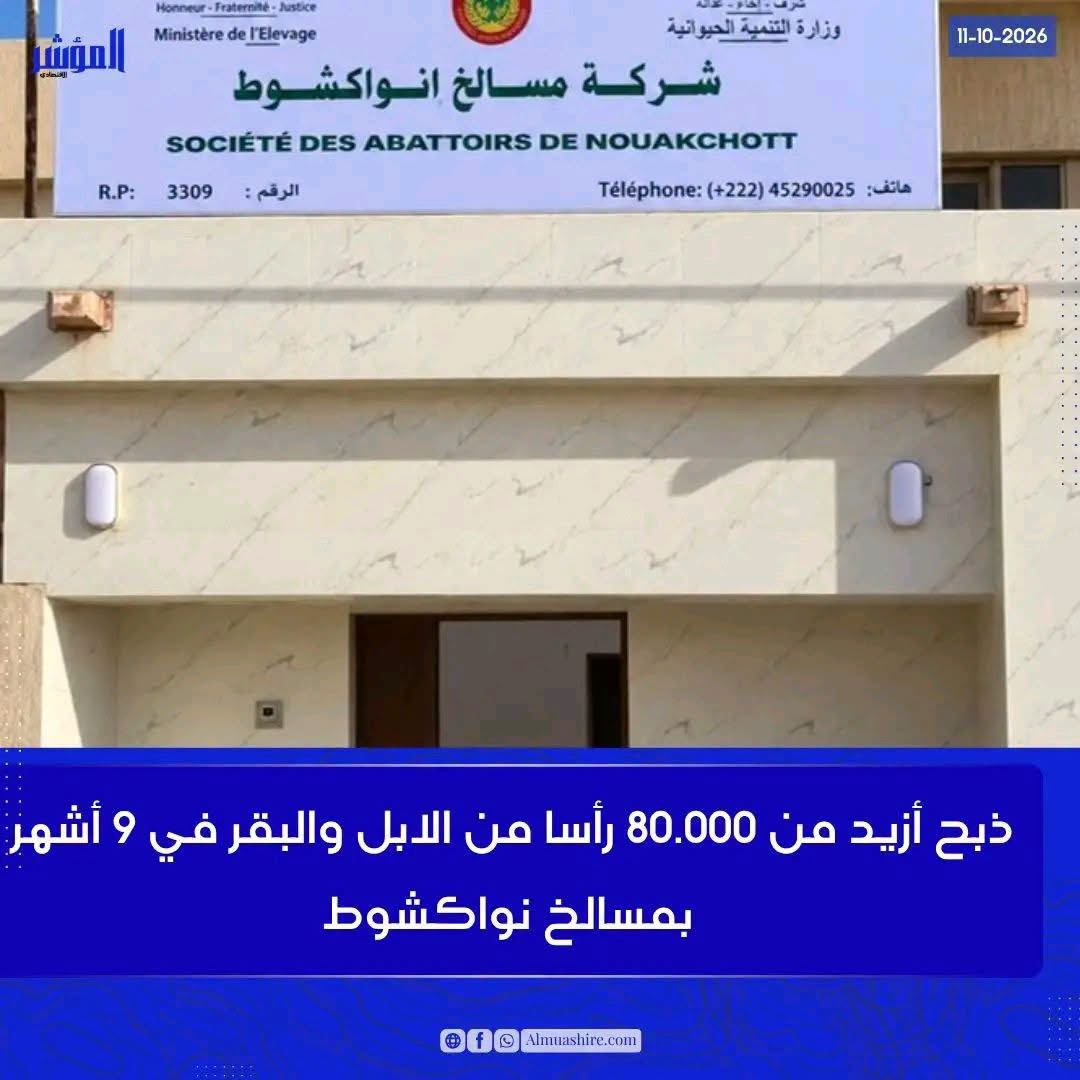 أزيد من 80.000 رأسا من الابل والبقر تم ذبحها في 9 أشهر بنواكشوط
