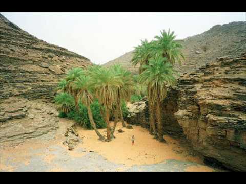 تنظيم سهرة ثقافية في مدينة اطار