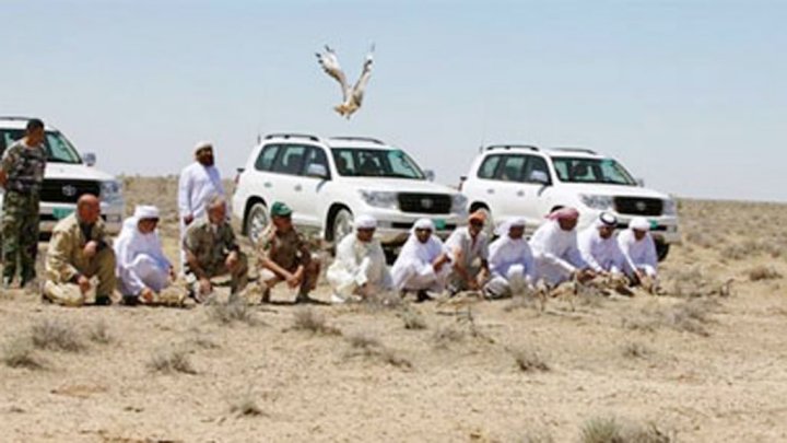  صورة أرشيفية