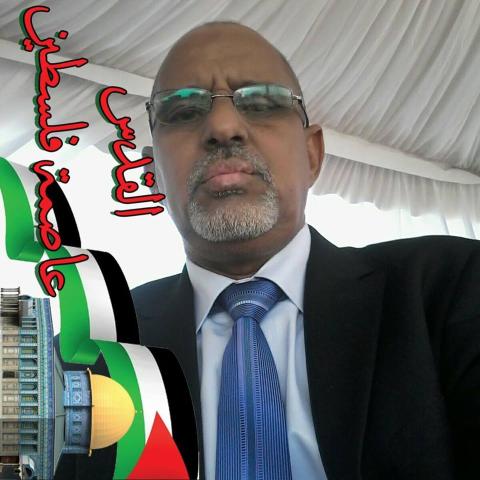  احمد ولد محمد الأمين