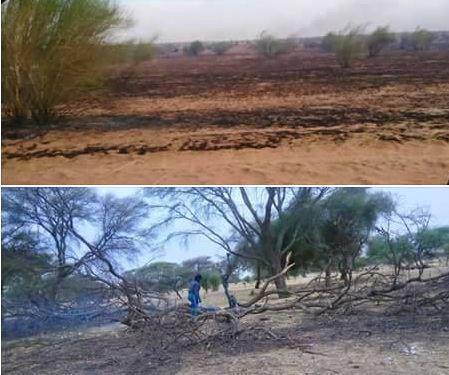 توقيف متهمين اثنين في حرائق المراعي باترارزه