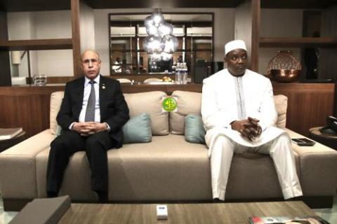مباحثات موريتانية غامبية على مستوى رؤساء البلدين (صورة)