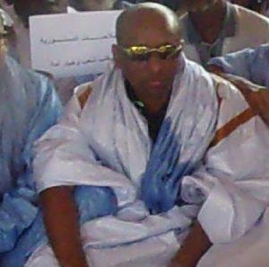 شيخ آمرج , محمد الأمين أكي , التعديلات الدستورية