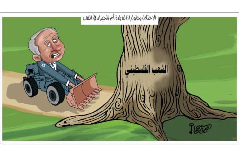 الاحتلال يحاول إزالة بلدة أم الحيران في النقب
