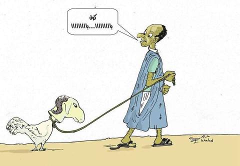 الاصرار ...