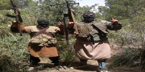 ليبيا تفرج عن أبناء “دواعش” تونس