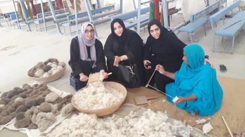 زيارة مثمرة لسيدات أعمال إماراتيات إلى موريتانيا / السيد محمودي