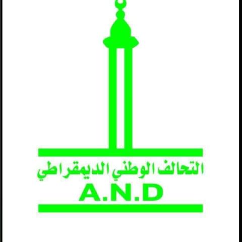  التحالف الوطني الديمقراطي 