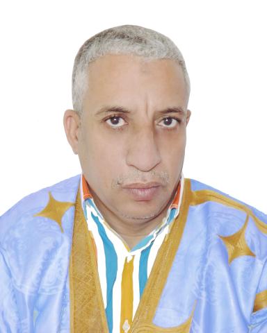 المختار ولد داهي،سفير سابق