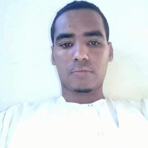 محمد الأمين مم